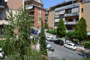 via Federico Patetta