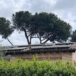Via del Casale Somaini