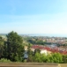 Via Albisola