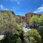 Viale di Valle Aurelia